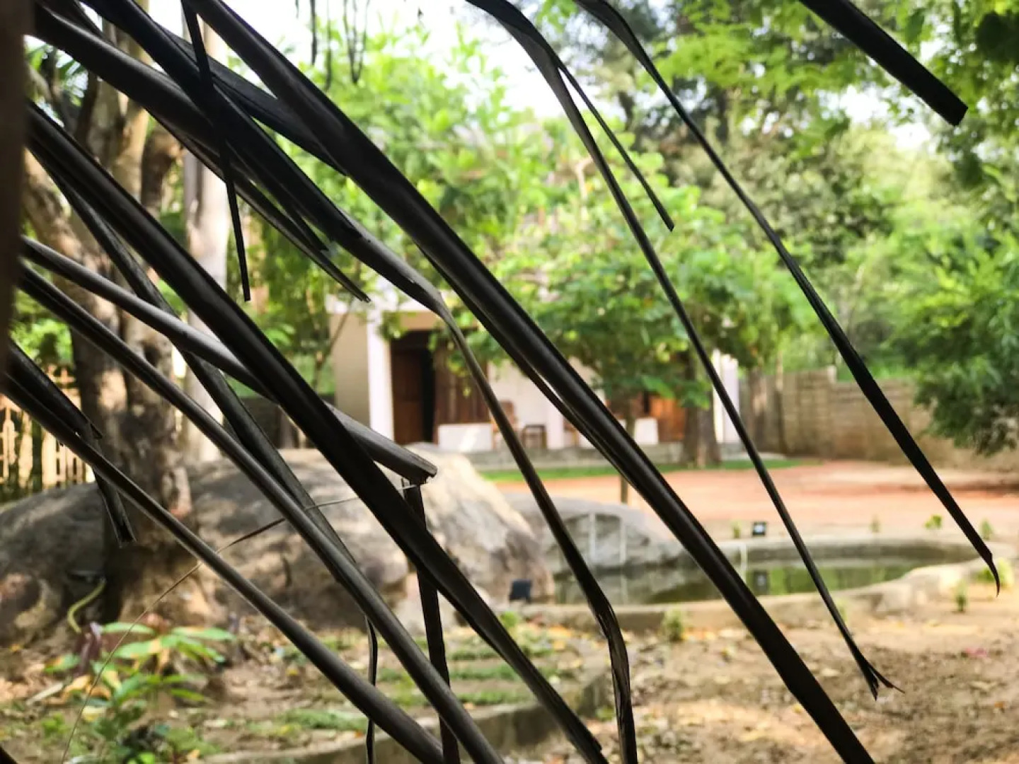 Kings Lodge Habarana