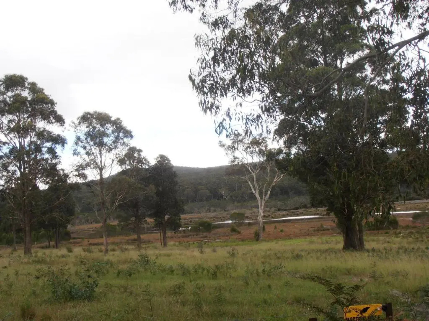 Top of the Lake Units