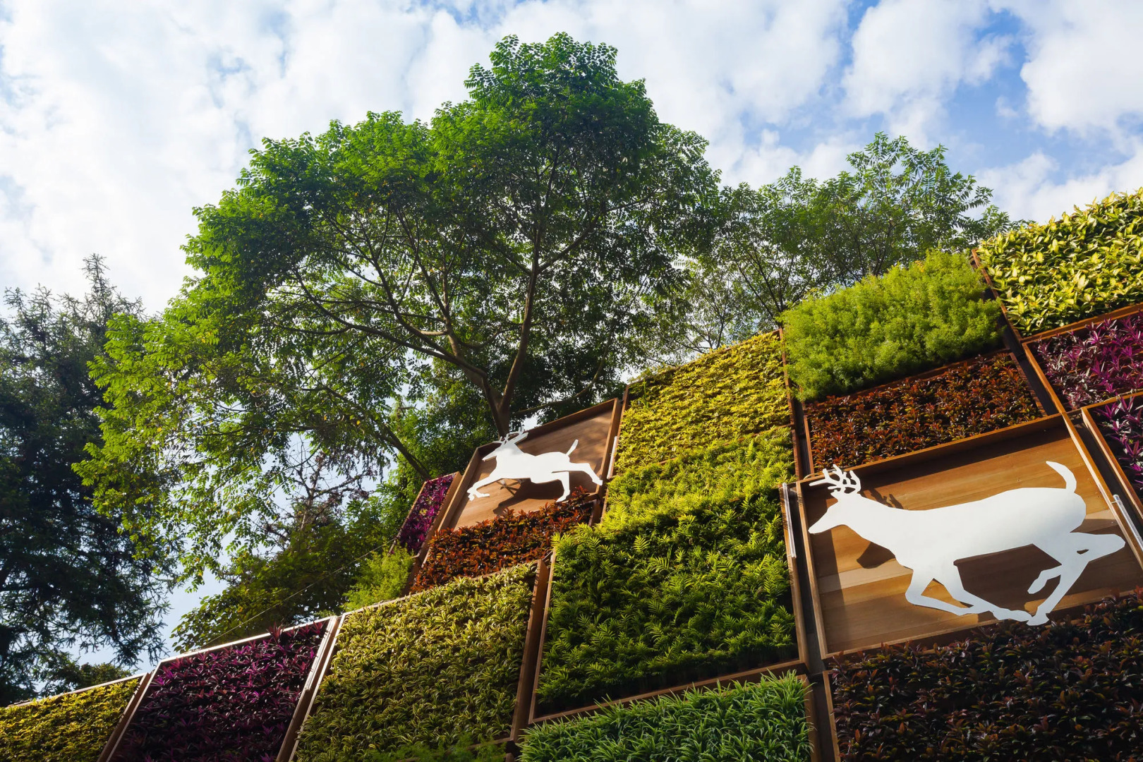 Lealea Garden Hotel Moon