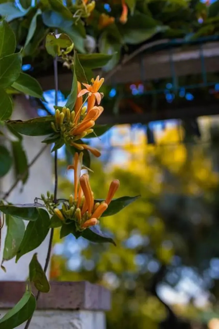 Villa With one Bedroom in Santa Teresa di Riva, With Wonderful sea View, Private Pool and Enclosed Garden - 1 km From the Beach