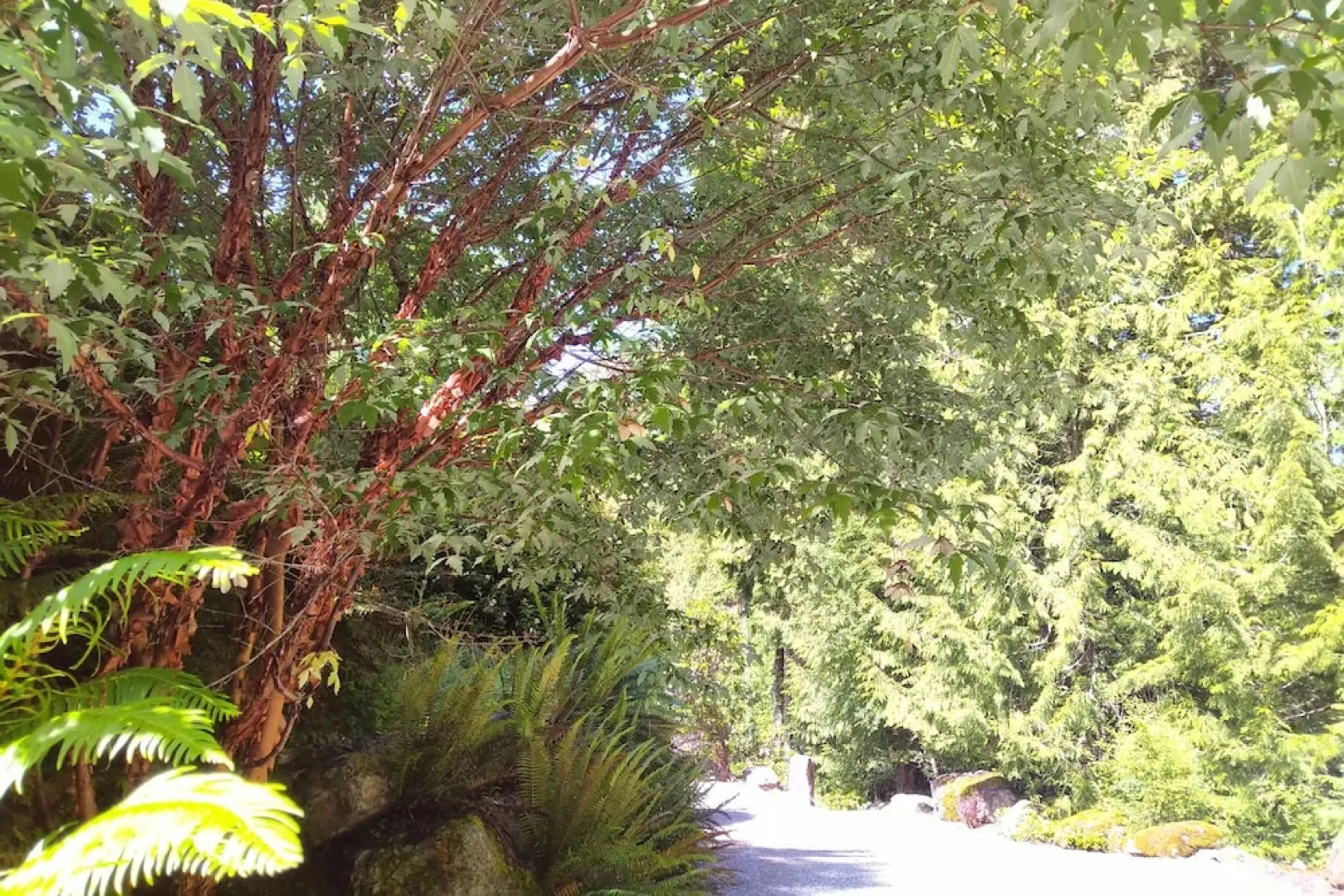 The Cabin at Moon Dance