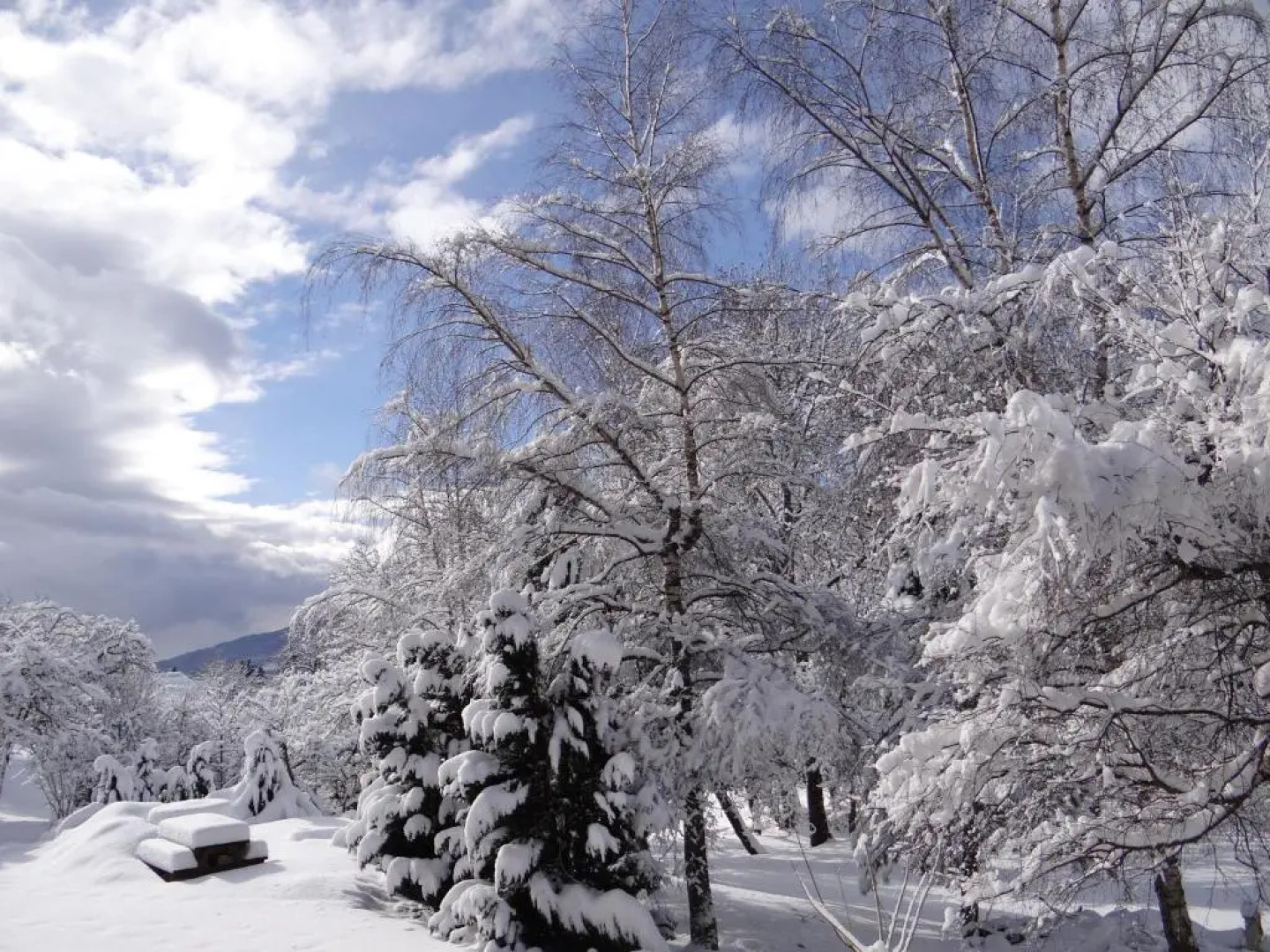 Hôtel Restaurant Aux Touristes