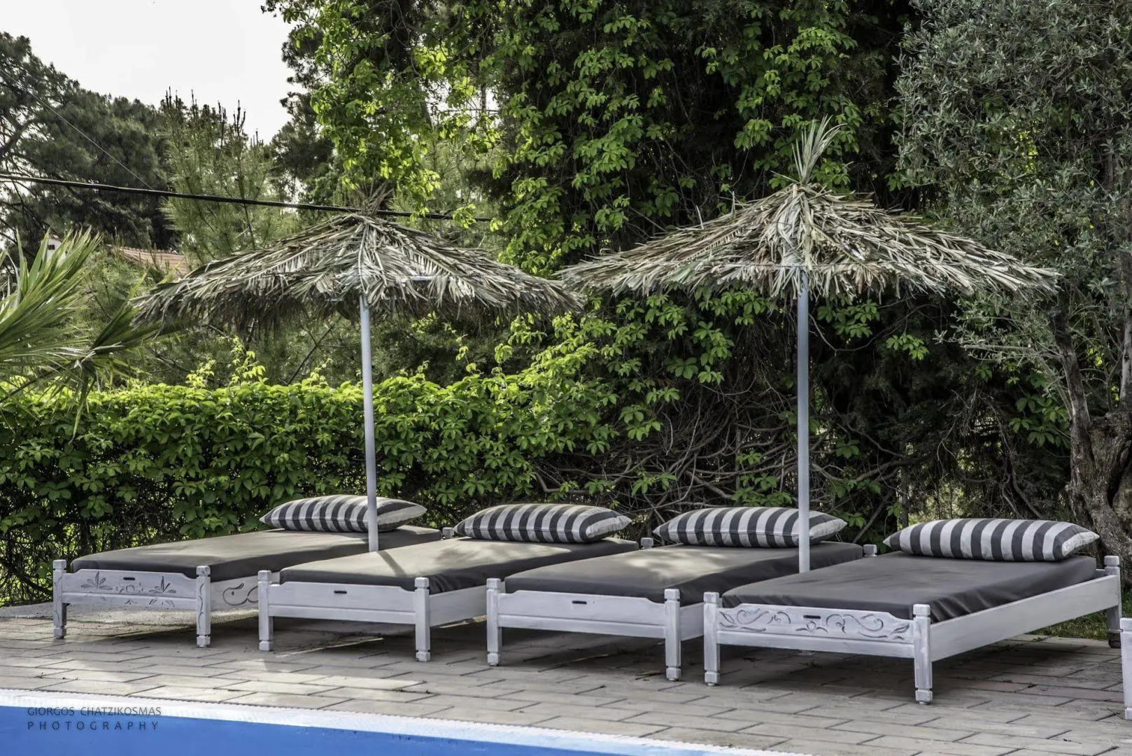 Отель Trees Art Boutique