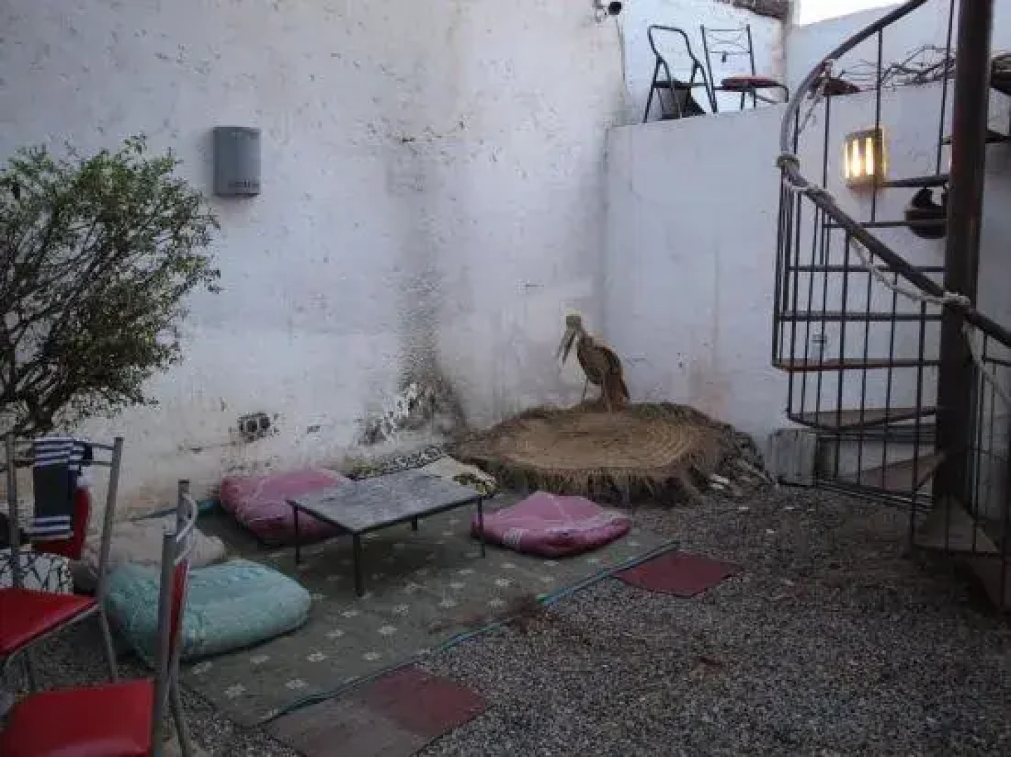 Asarag Lodge Mirlft Centre