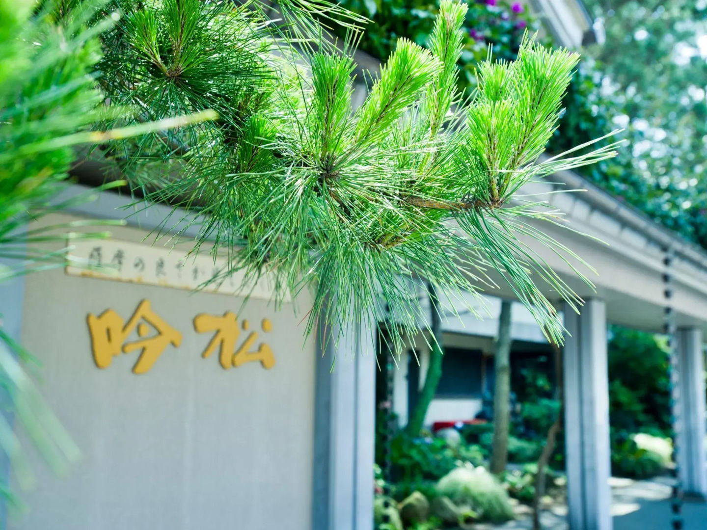 Hana no Onsen Hotel Ginsyo