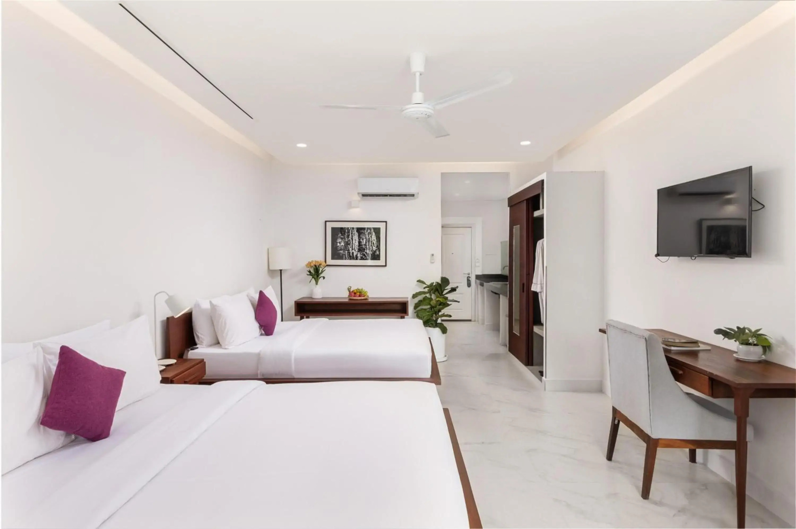 Elysium Suite