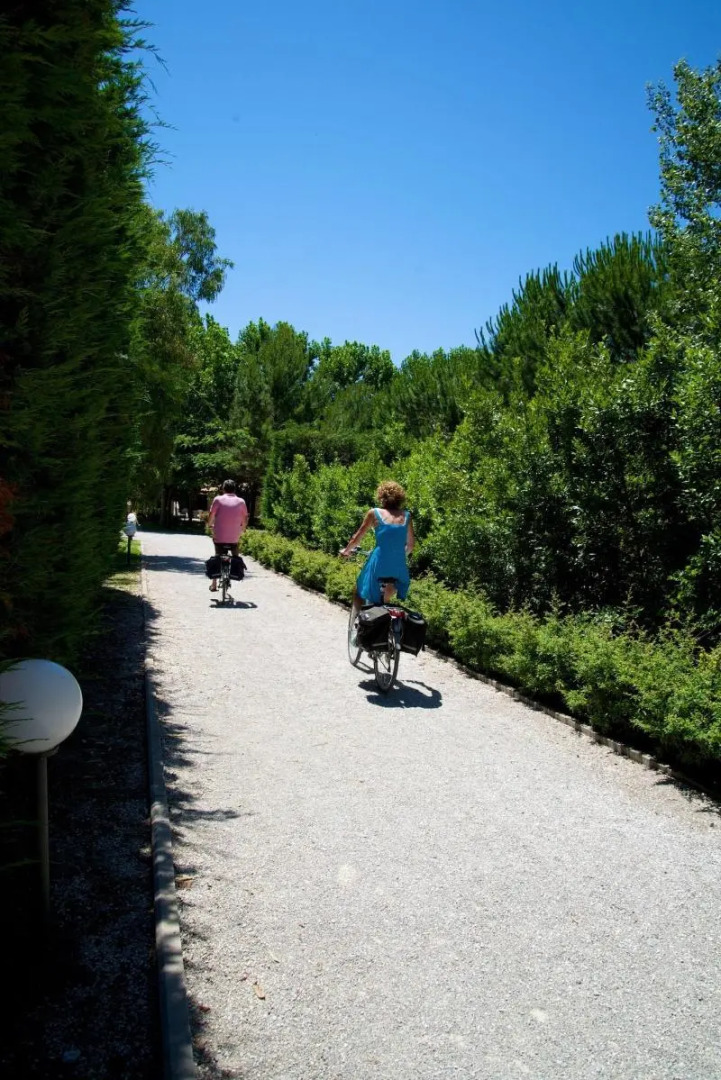 Residence Ghiacci Vecchi