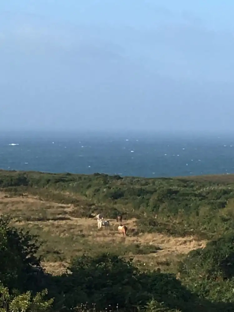 Maison Face à la Mer Pointe du Raz