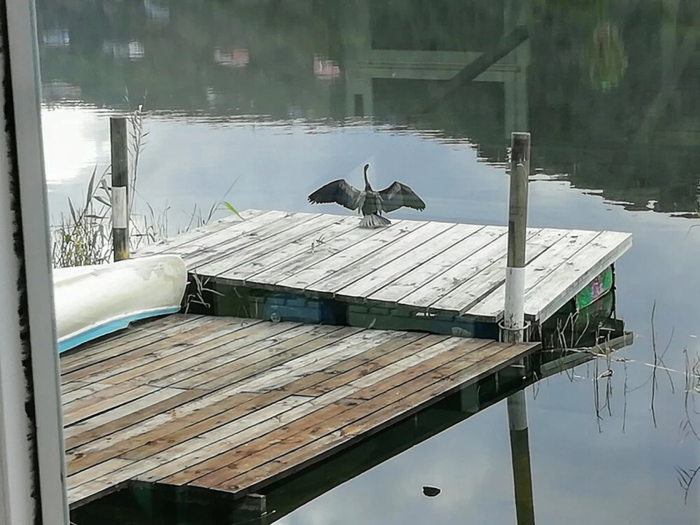 The Anchorage Wilderness