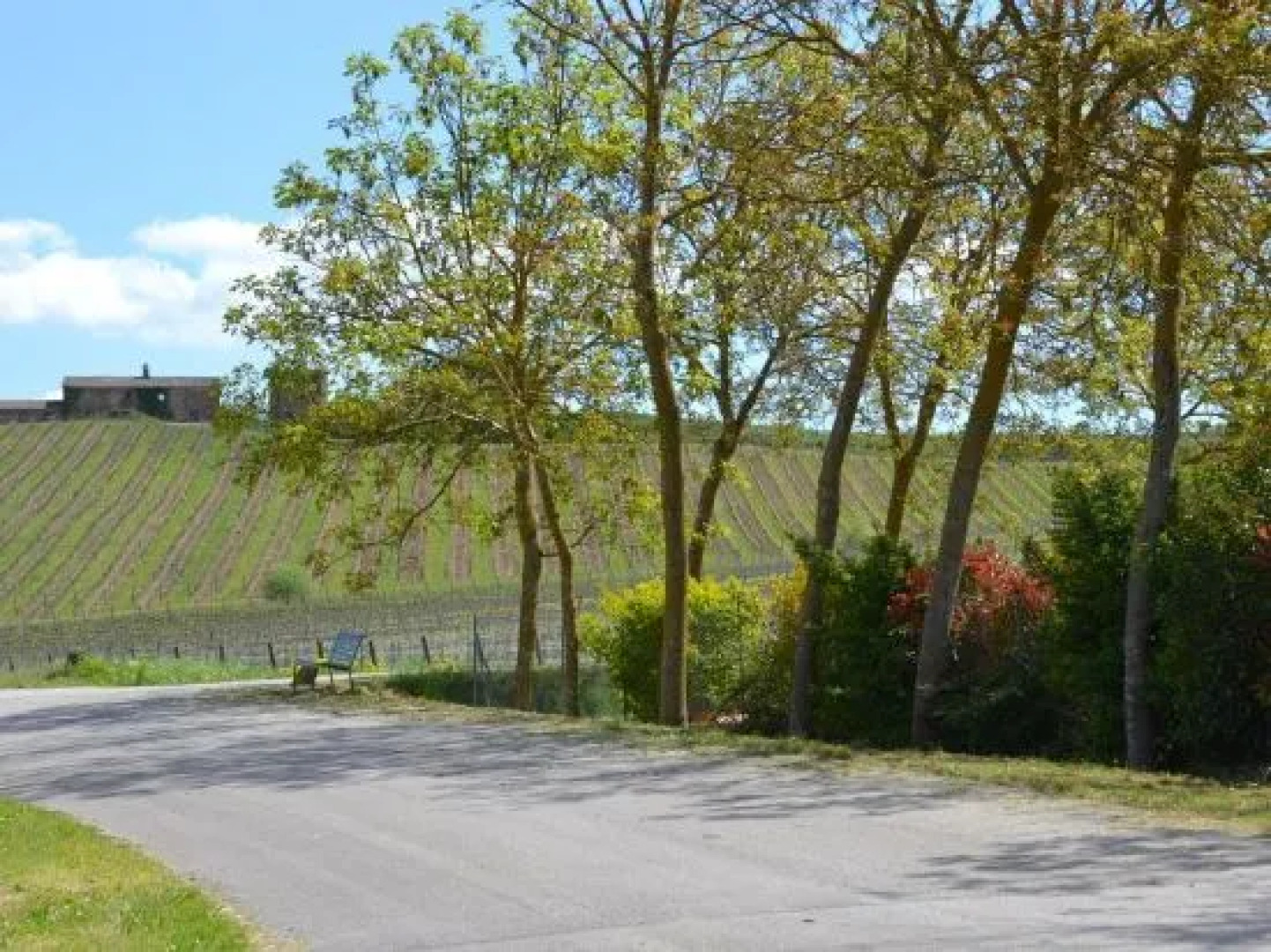 Affittacamere La Fornace