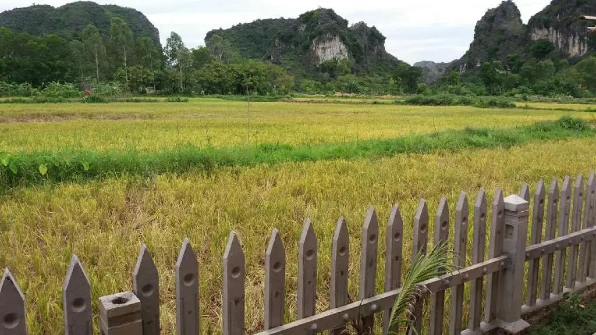 Tam Coc Green Garden Bungalow