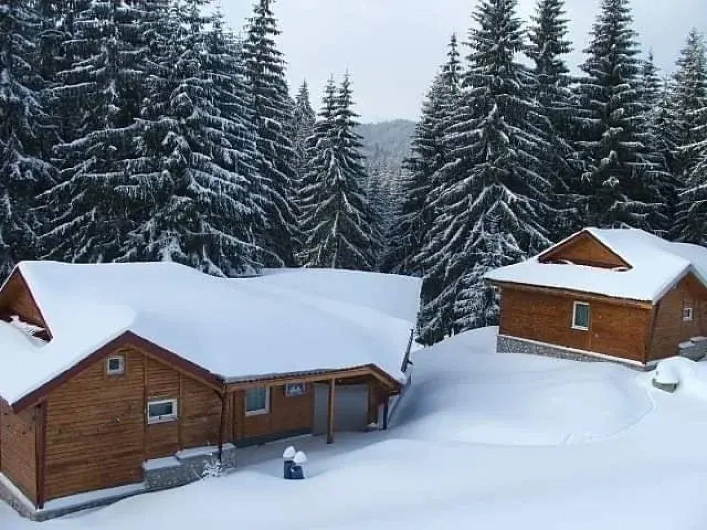 Vila Izvorul Minunilor