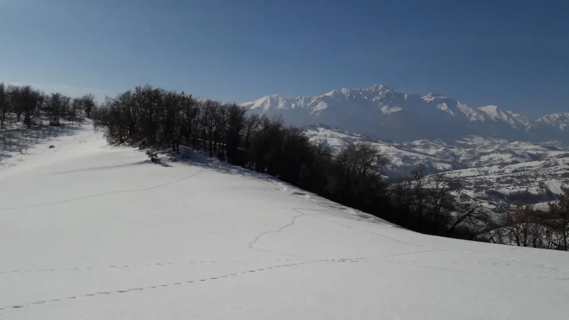 Azienda Agrituristica Colle San Giorgio