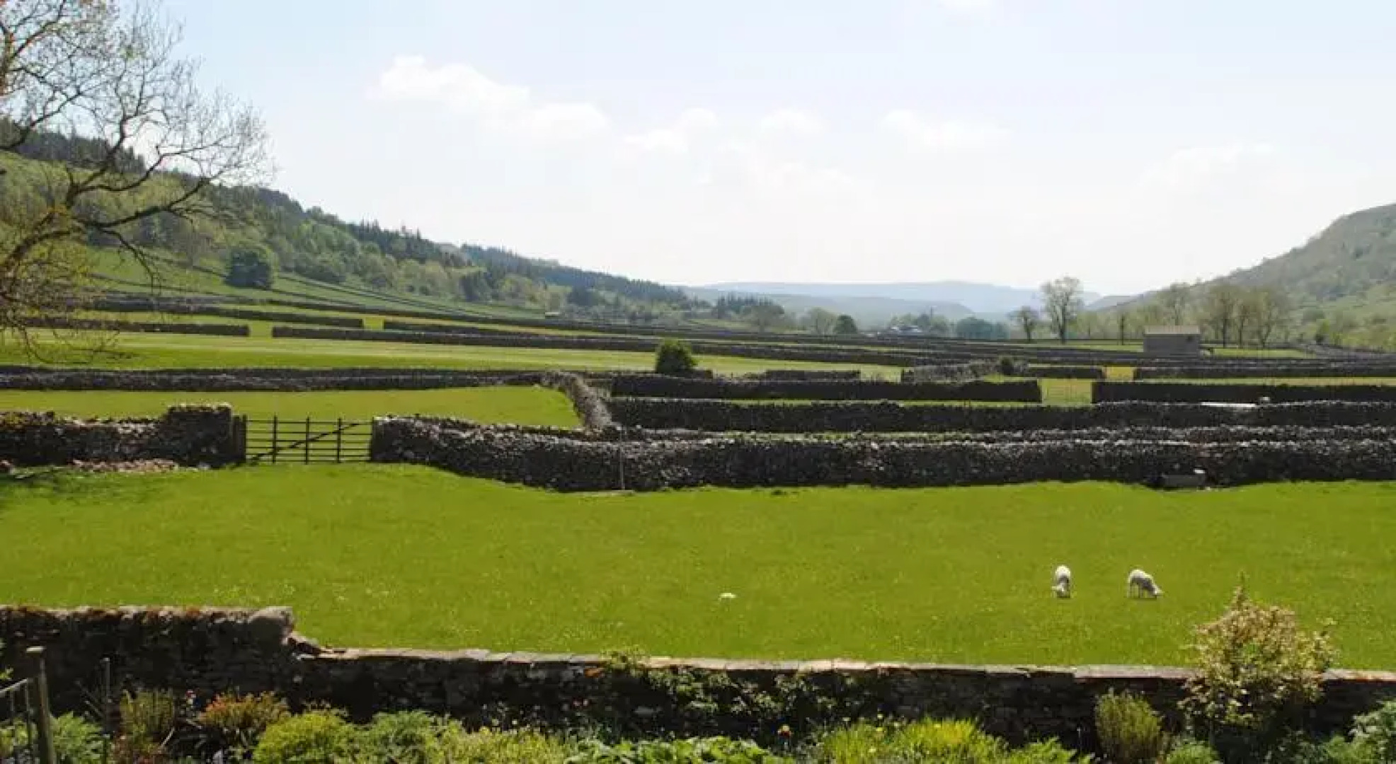 Langcliffe House B&B