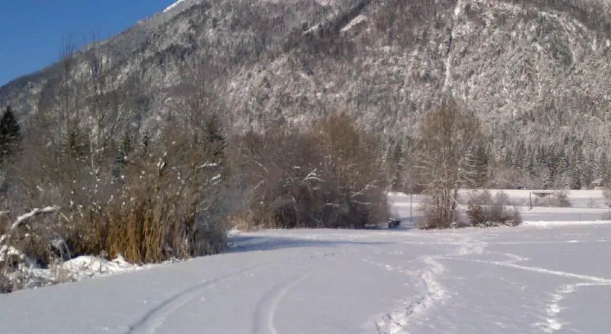 Haus Thomas -The Little House