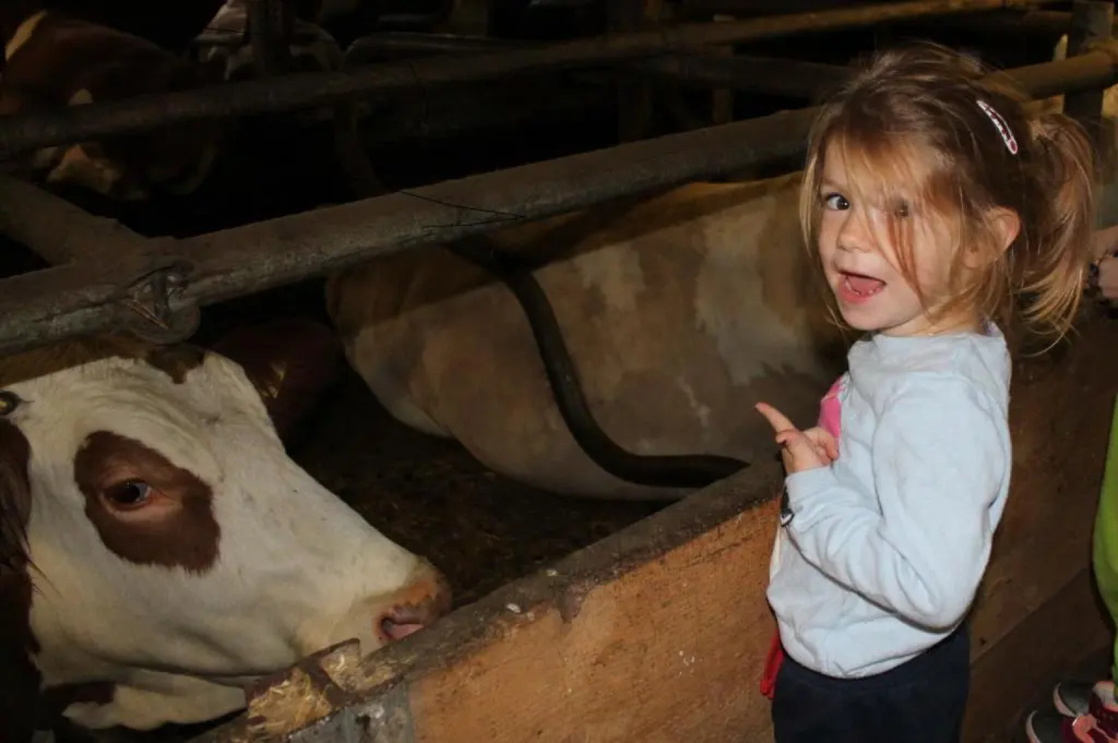 Appartement Stuibenfallblick