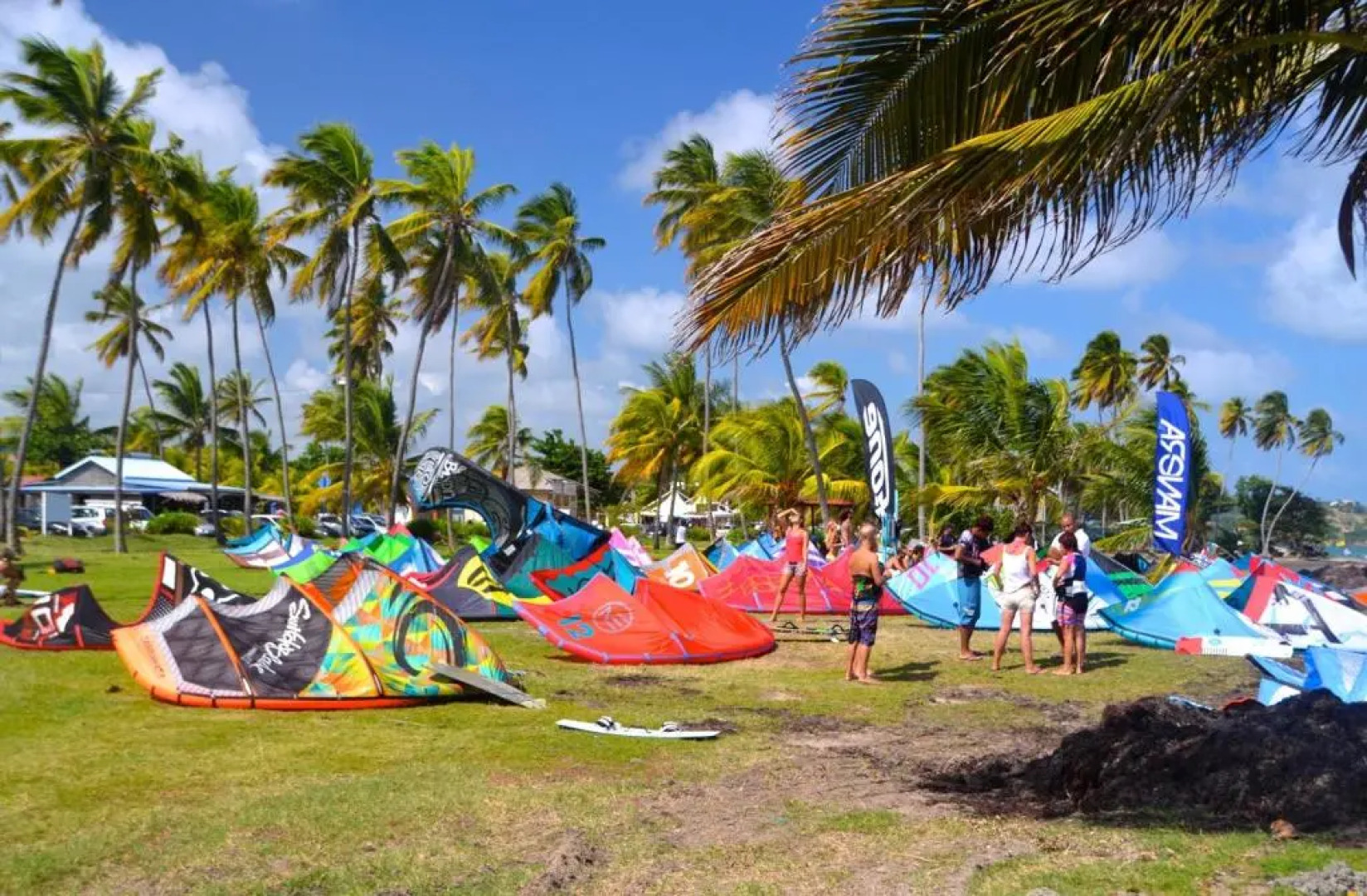 Douceur Créole - 5 min pointe Faula