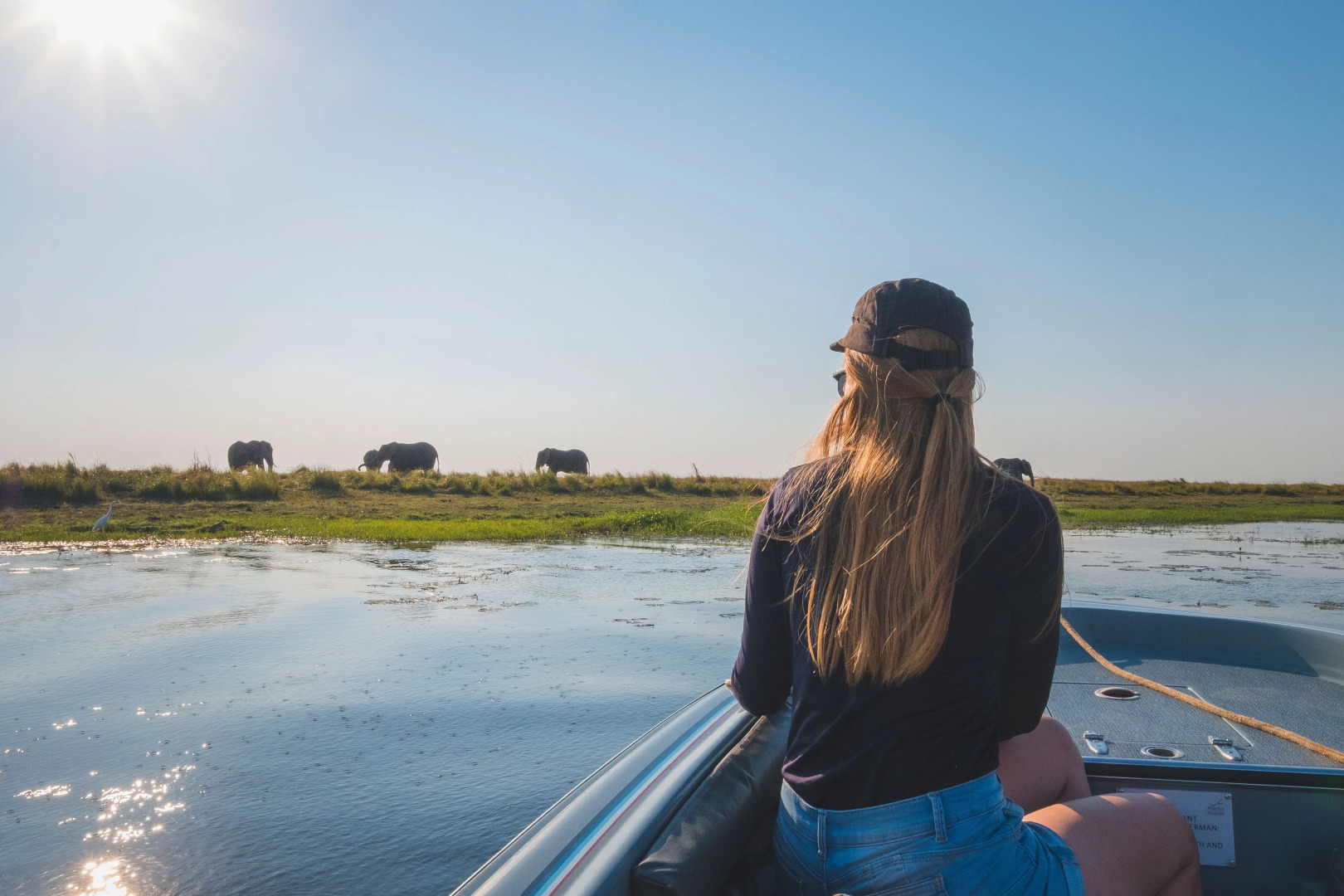 Zambezi Queen by Mantis