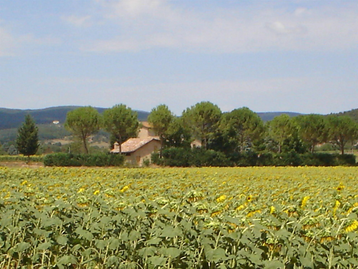 Casale il Colombaio di Toiano
