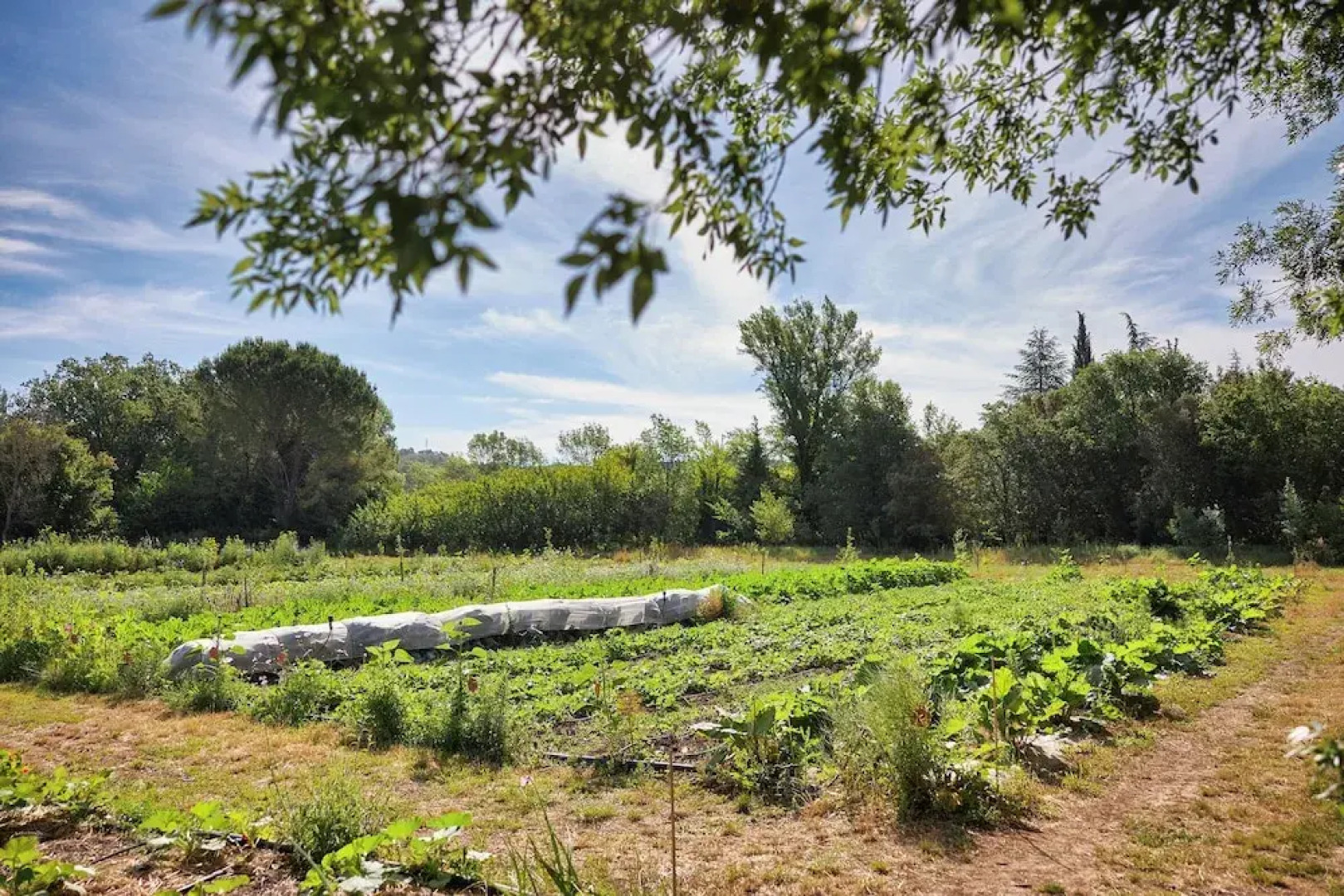 Ferme Saint-Georges en Provence
