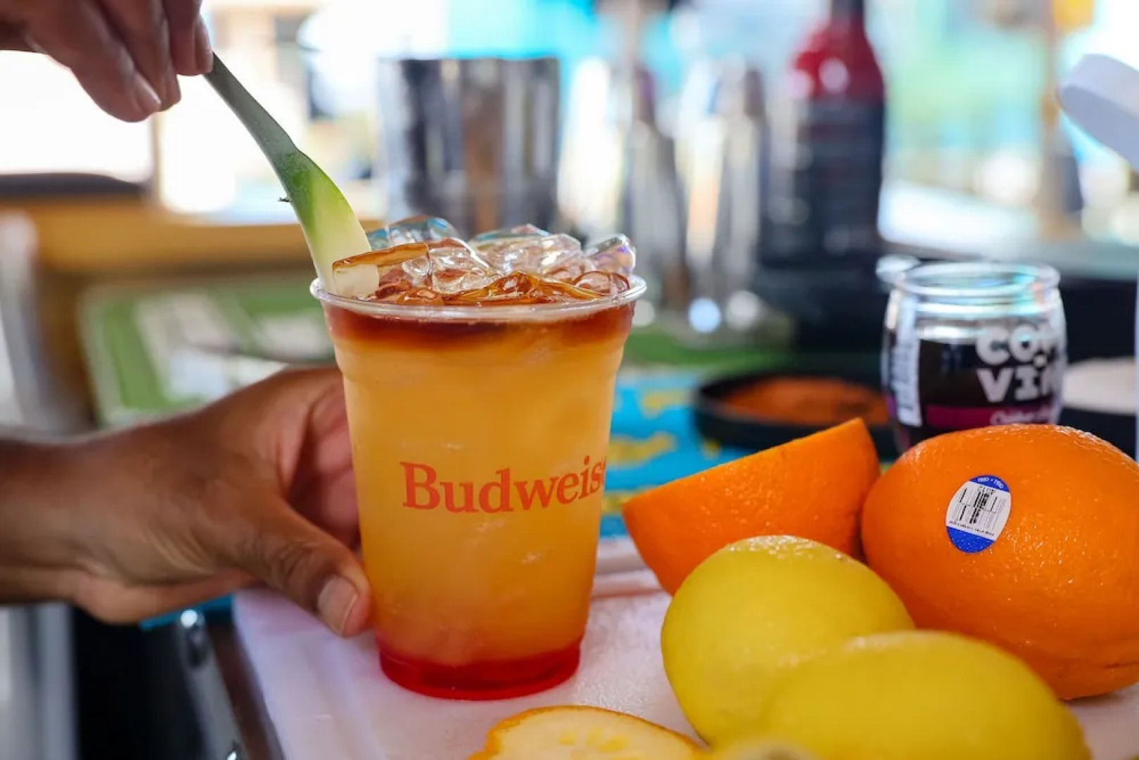 Siesta Key Beach Resort and Suites