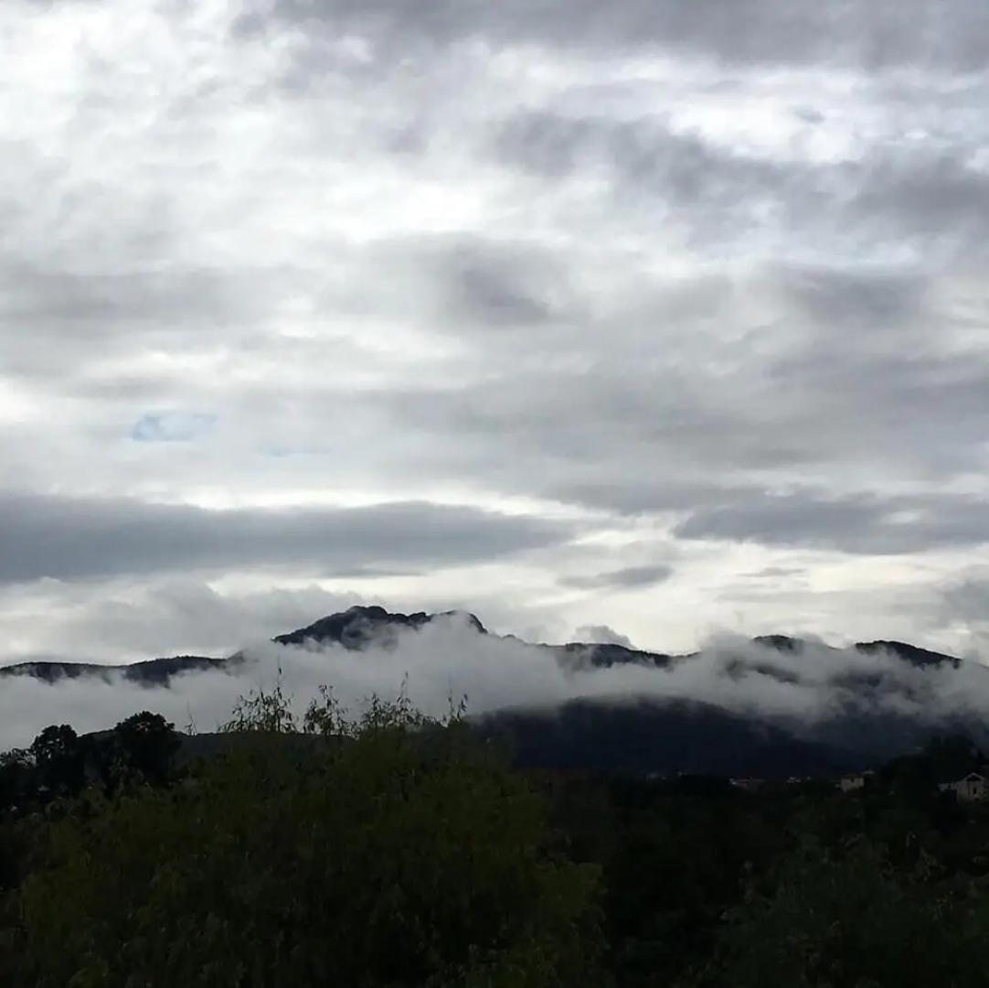 Art and Relax - Paperki enea