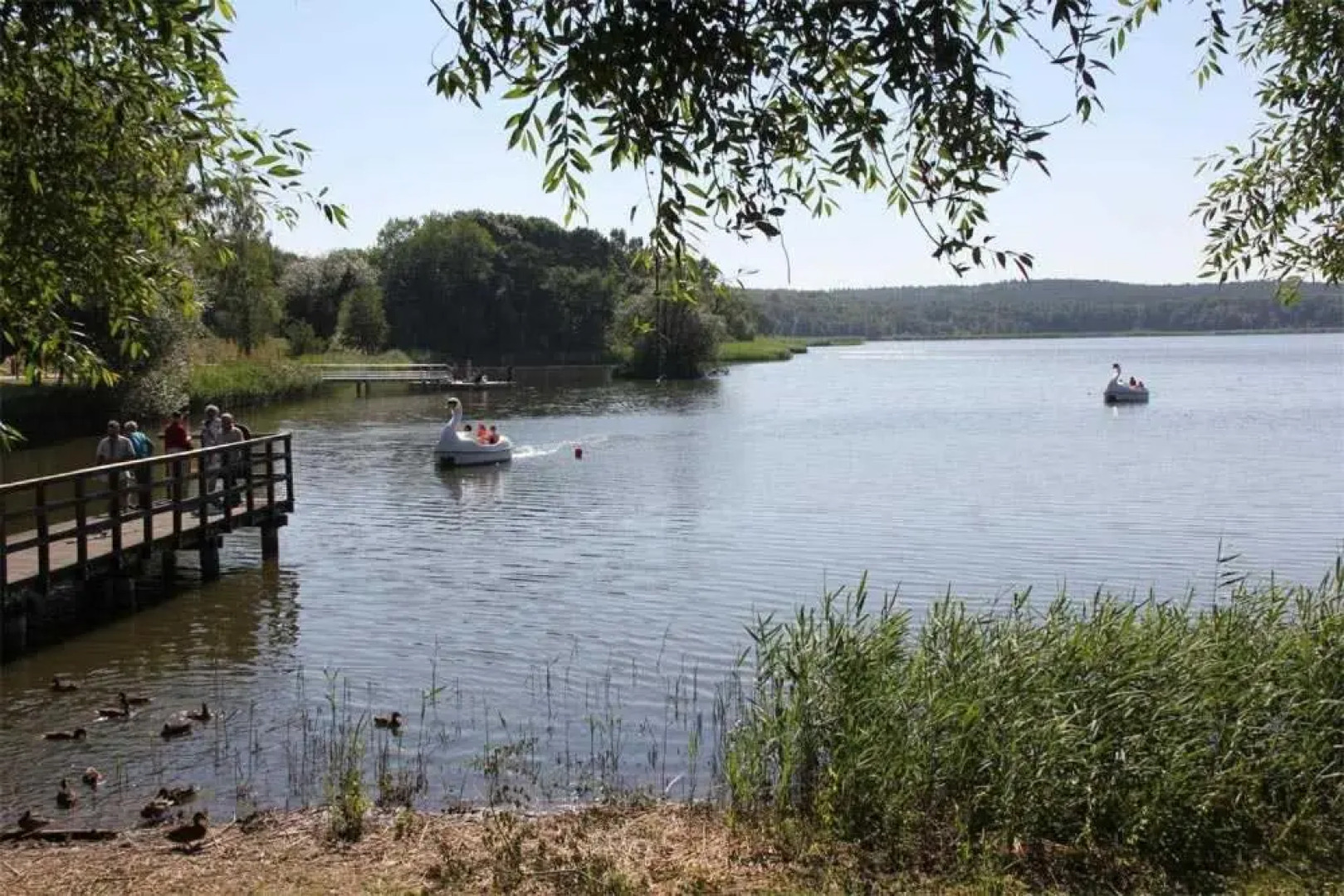 Ferienhaus Koelpinsee USE 2161