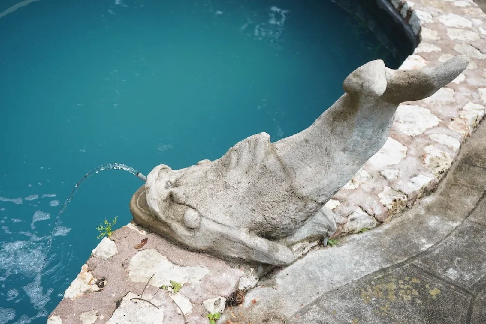 Pulse Suites at Villa Ronai