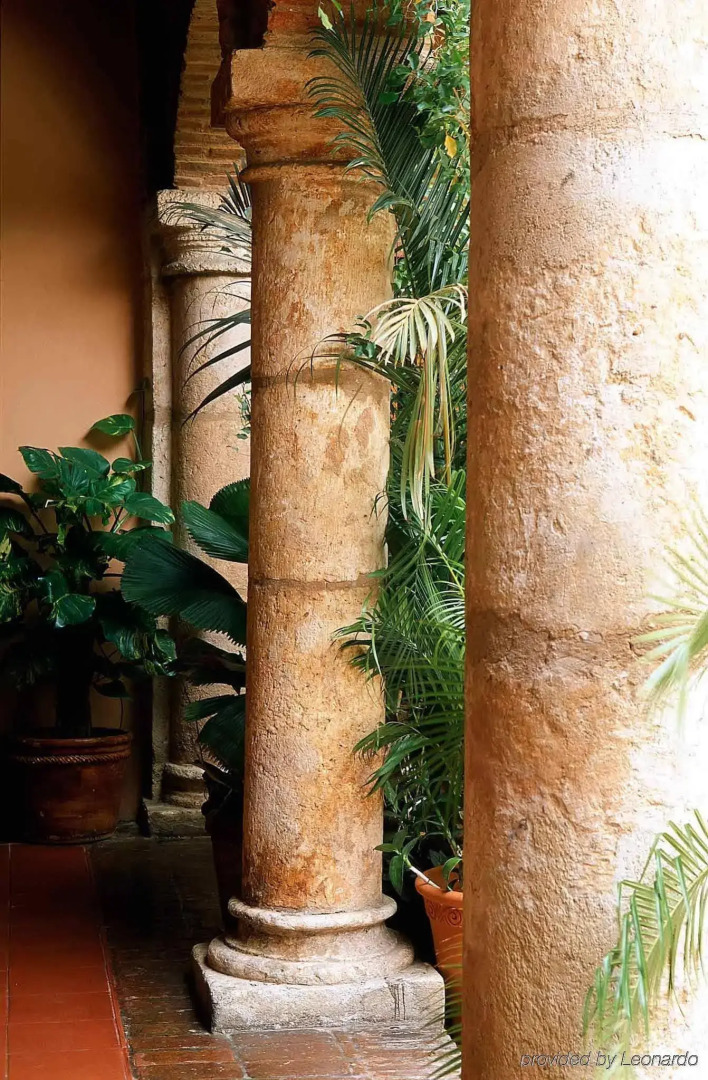 Frances Santo Domingo Mgallery Collection