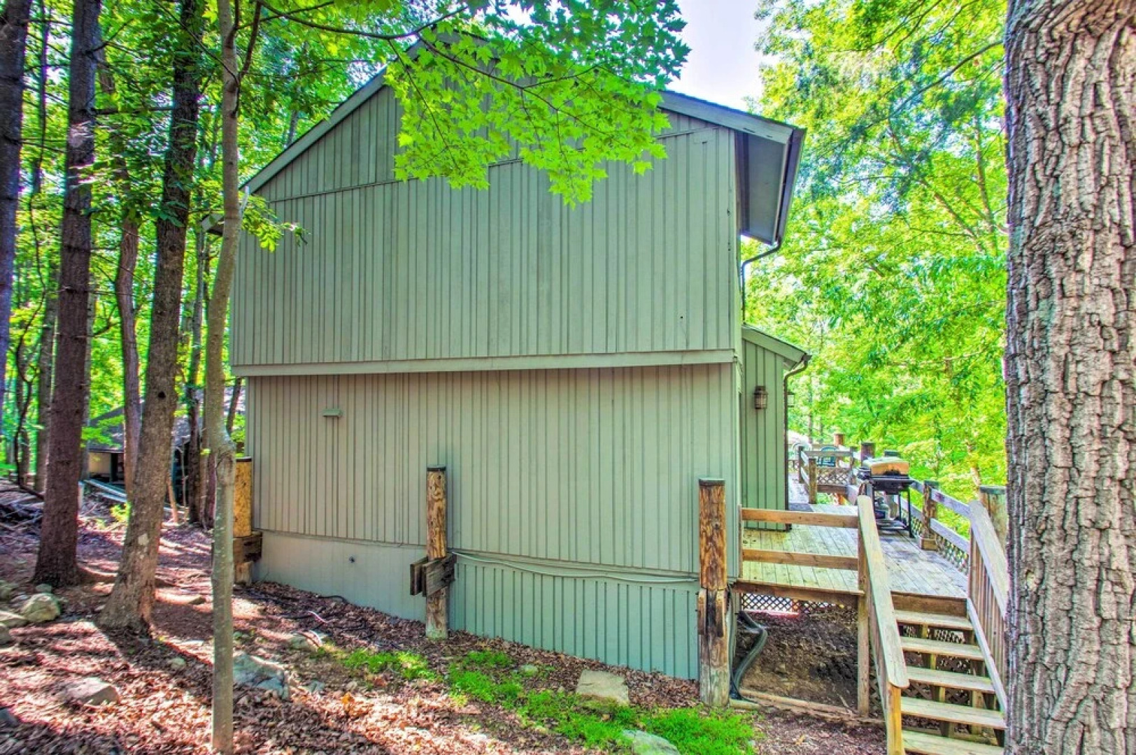 'the Dodge Lodge' - Near Massanutten Ski Lift!