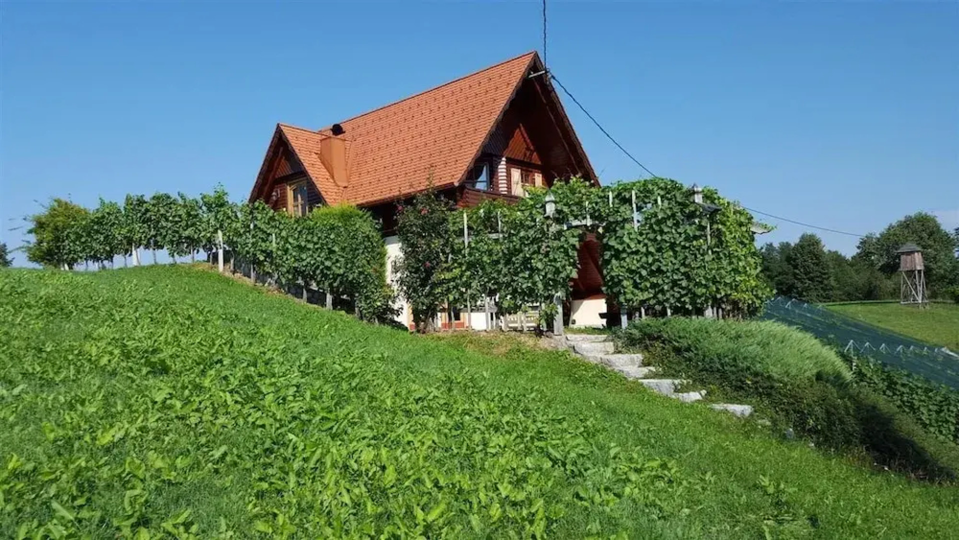 Vineyard cottage Berus