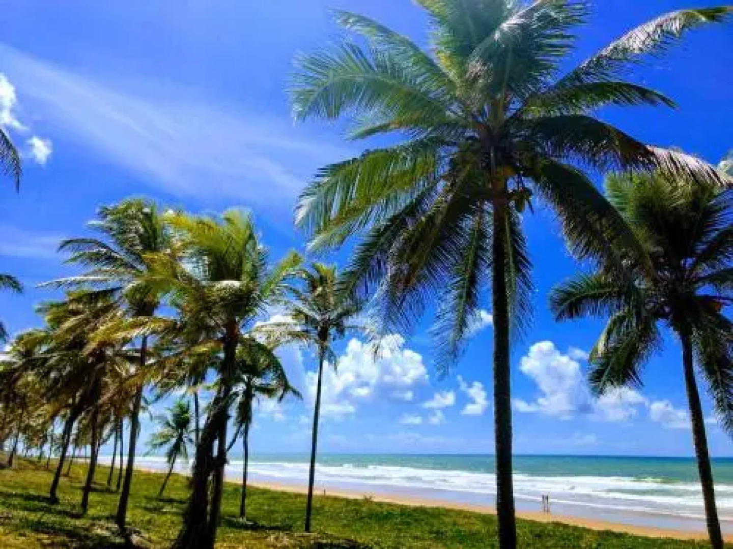 Ap 2/4 na Reserva Imbassaí