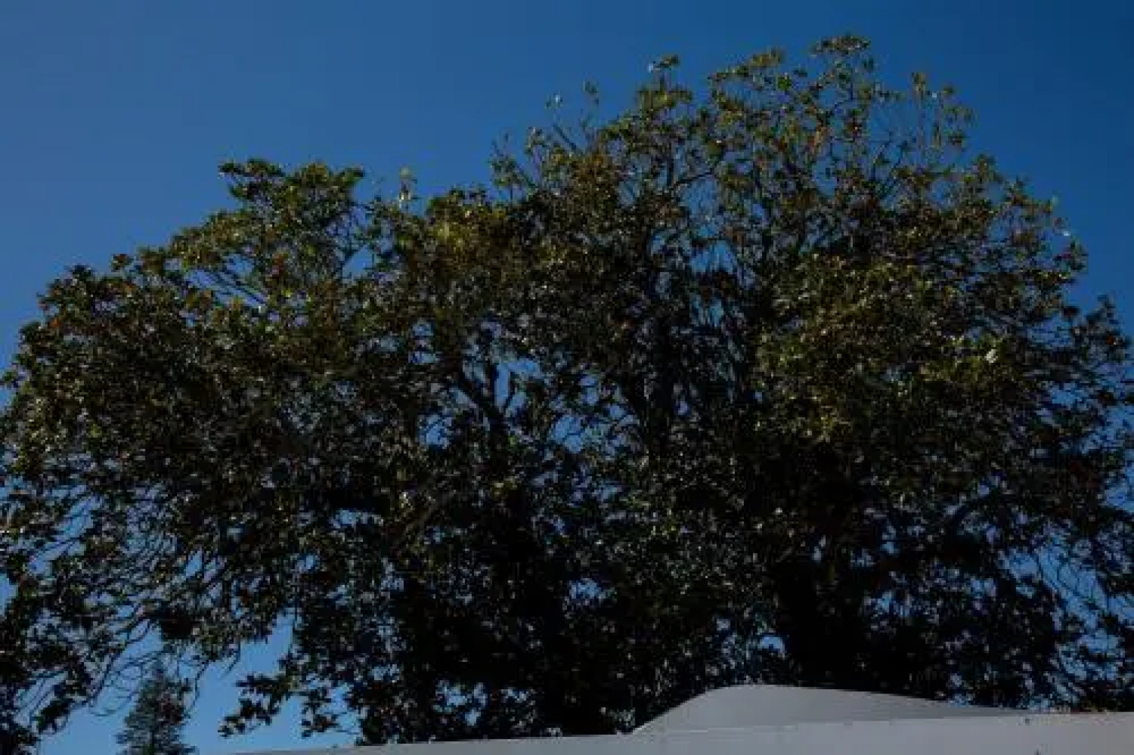 Apartment Horta Frijoc