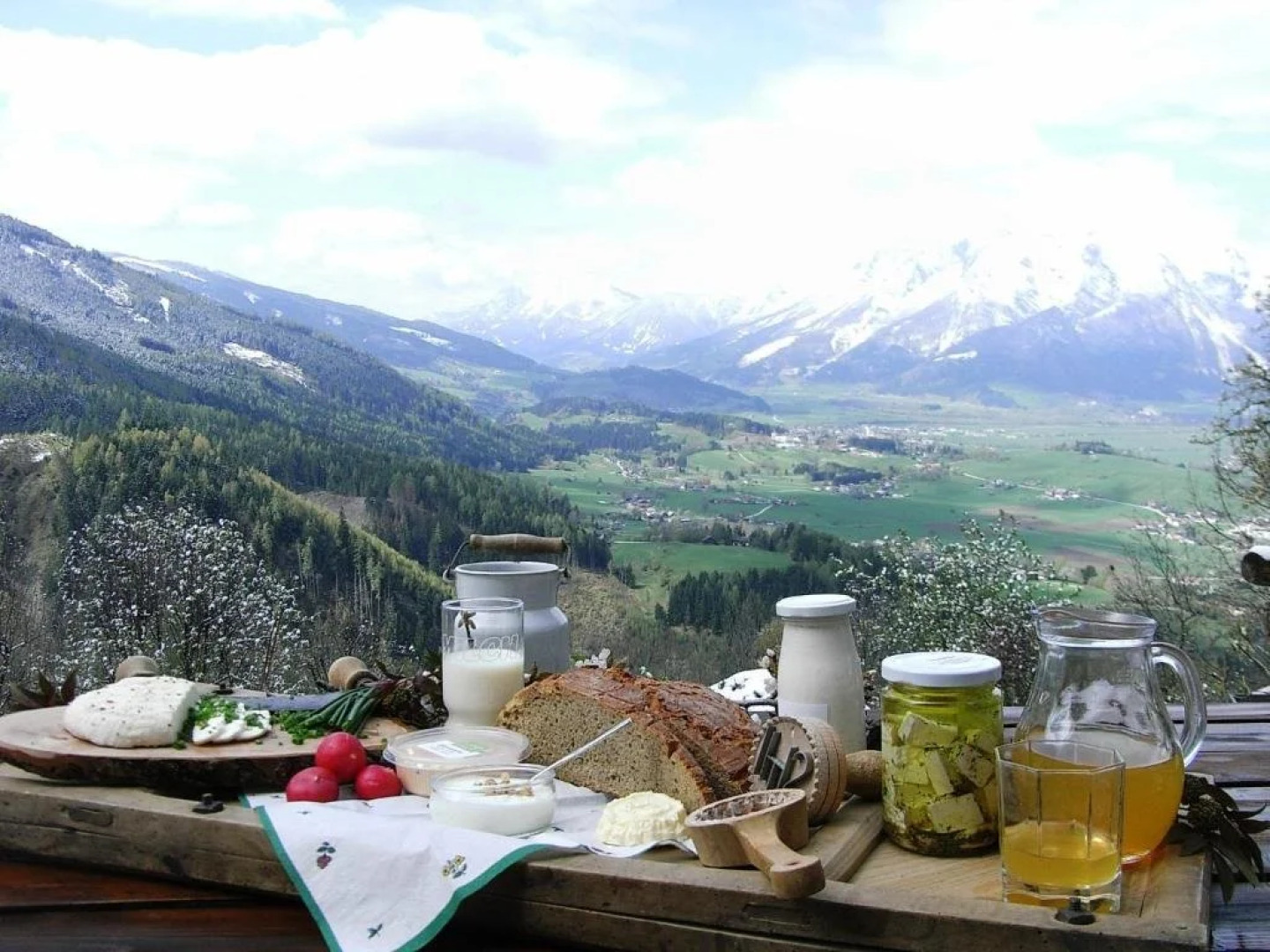 Bio- Erlebnis-Bauernhof-Thonnerhof