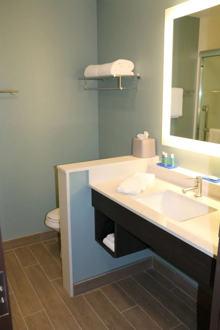 Holiday Inn Express & Suites Hendersonville SE - Flat Rock