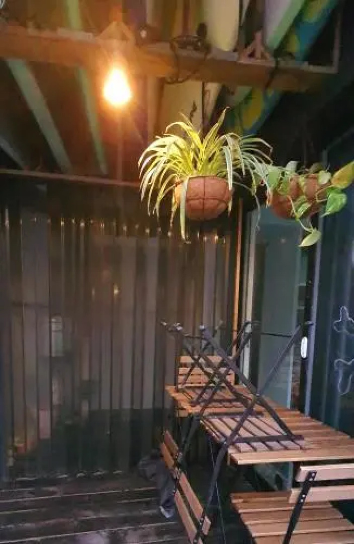 Cat on a Hot Tin Roof