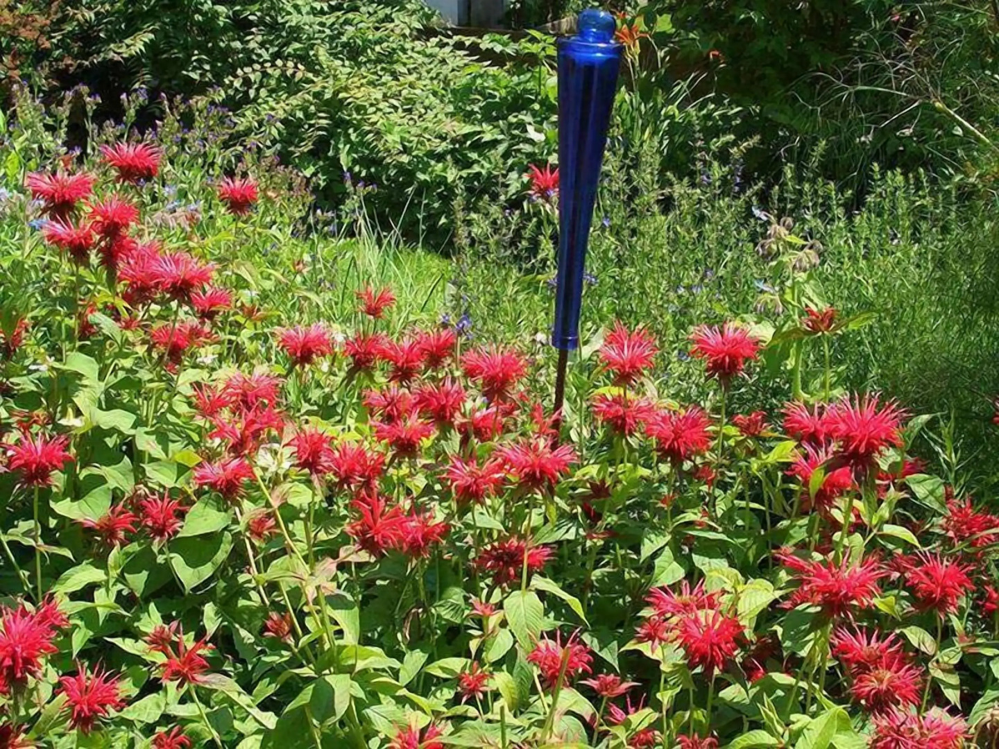 Landgasthof Rössle - Beim Kräuterwirt
