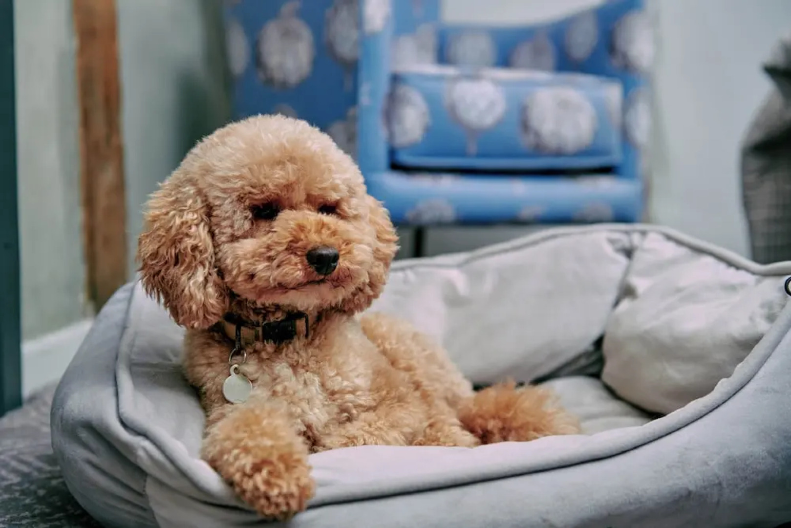 The Stag on the River