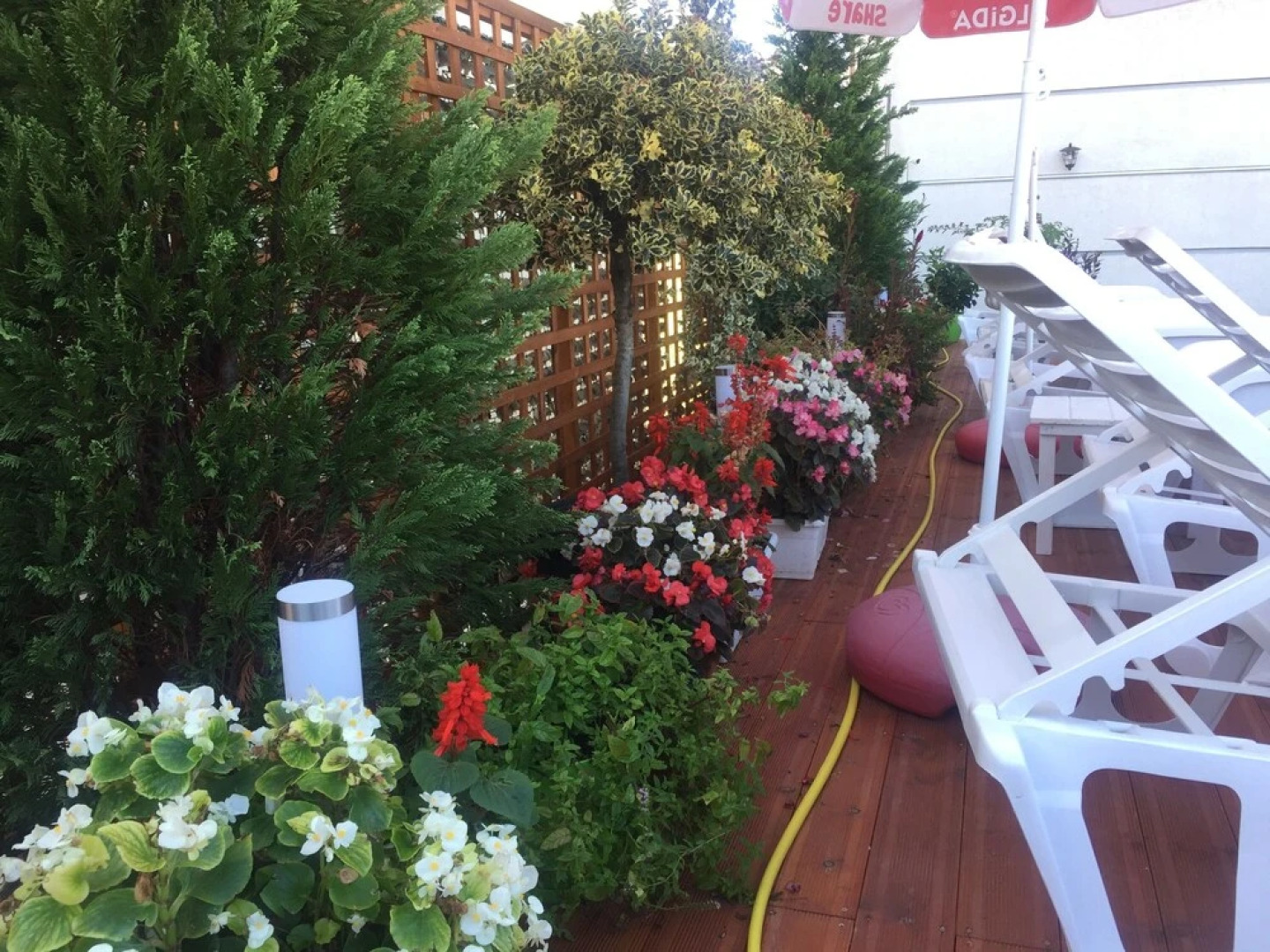 Hotel Sunrise Cameria