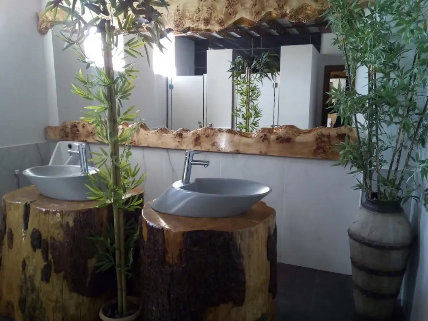 Sarikamis Kayi Snow Otel