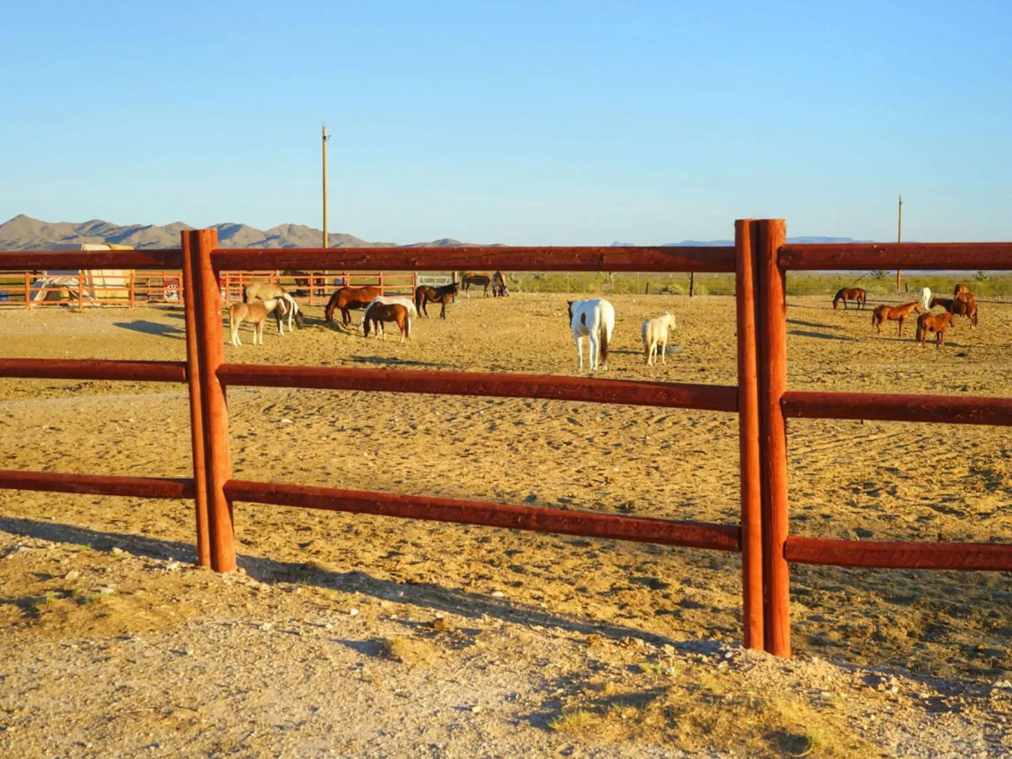 Stagecoach Trails Guest Ranch