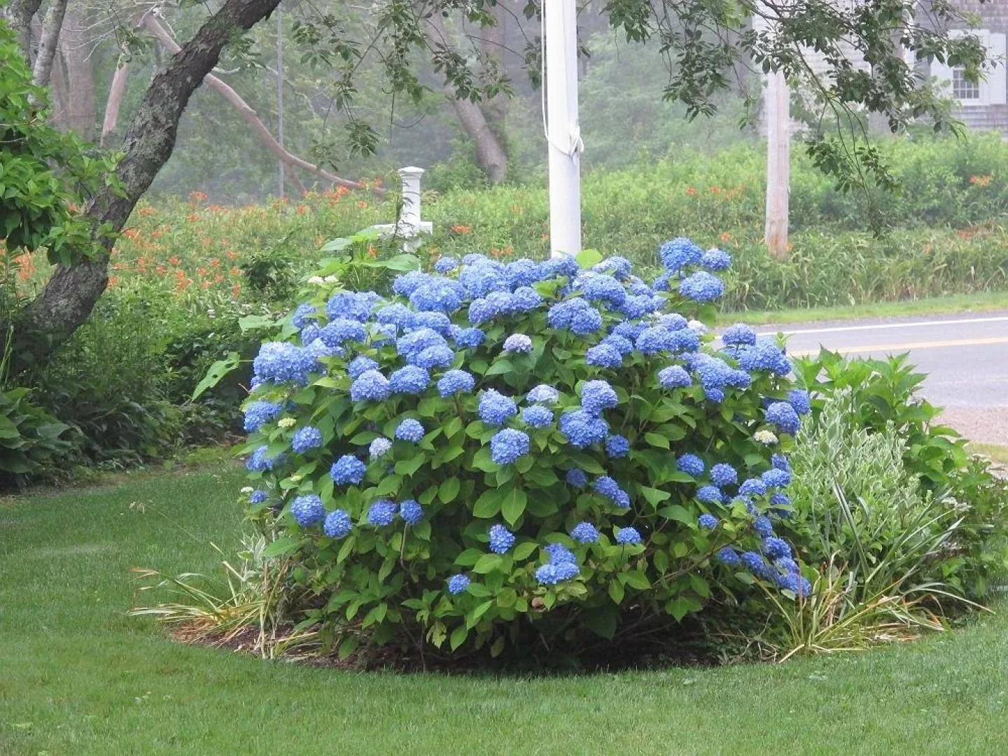 Honeysuckle Hill Inn