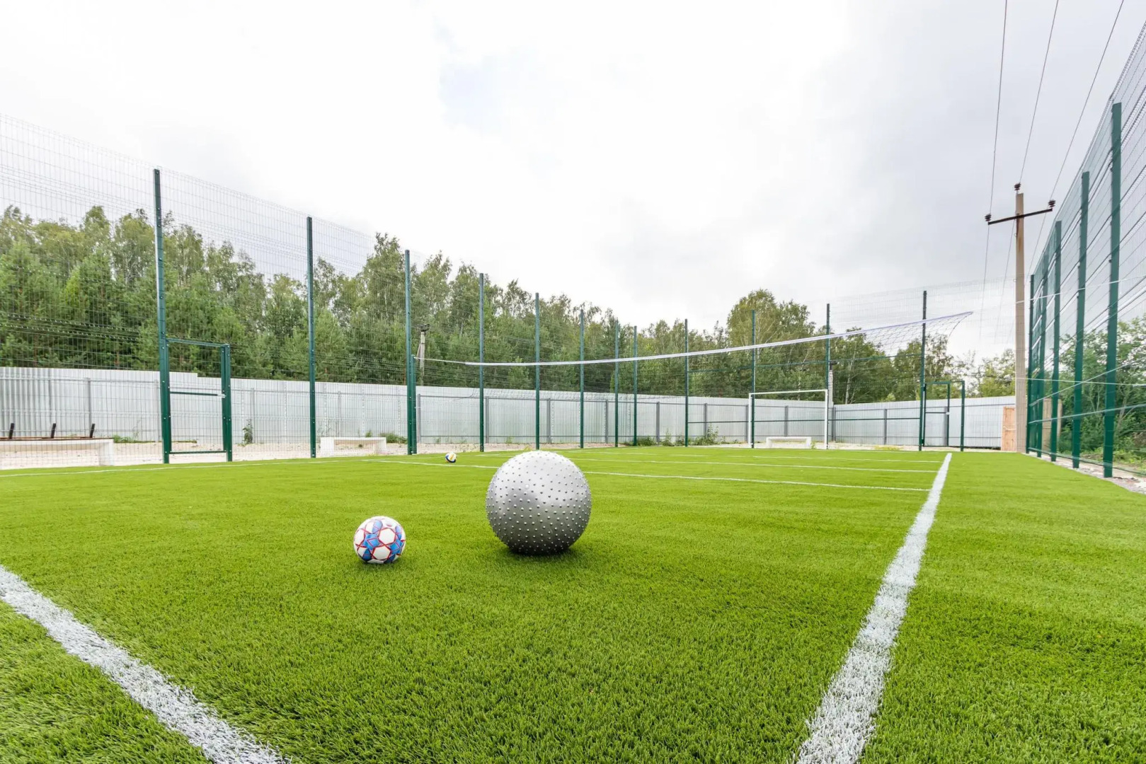 Лесная Сказка