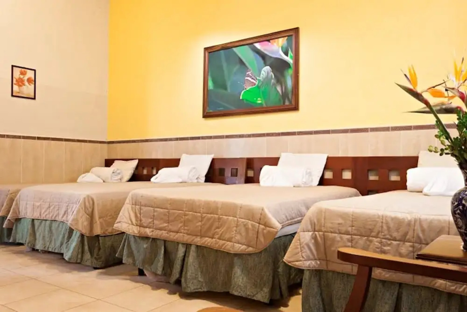 Hotel La Cupula San Rafael