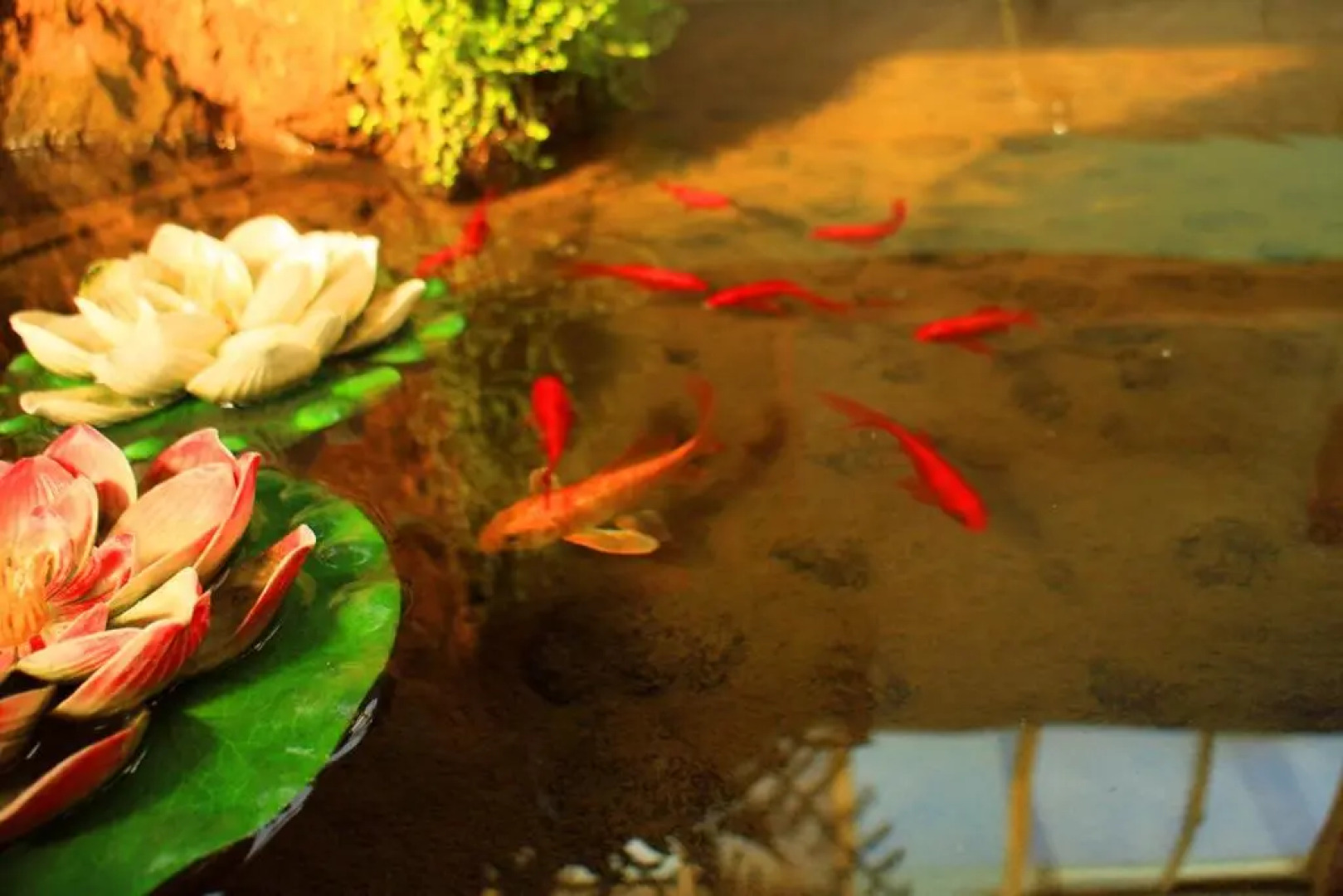 Lanzhou Up in the Wing Youth Hostel