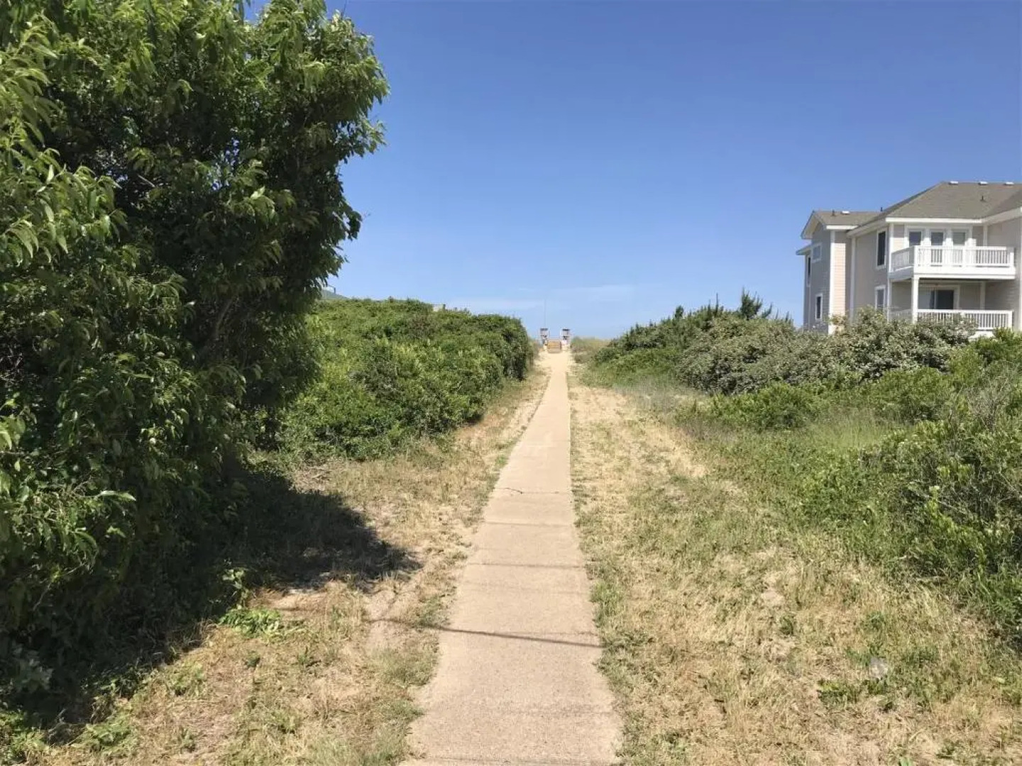 3034 - Not Too Crabby