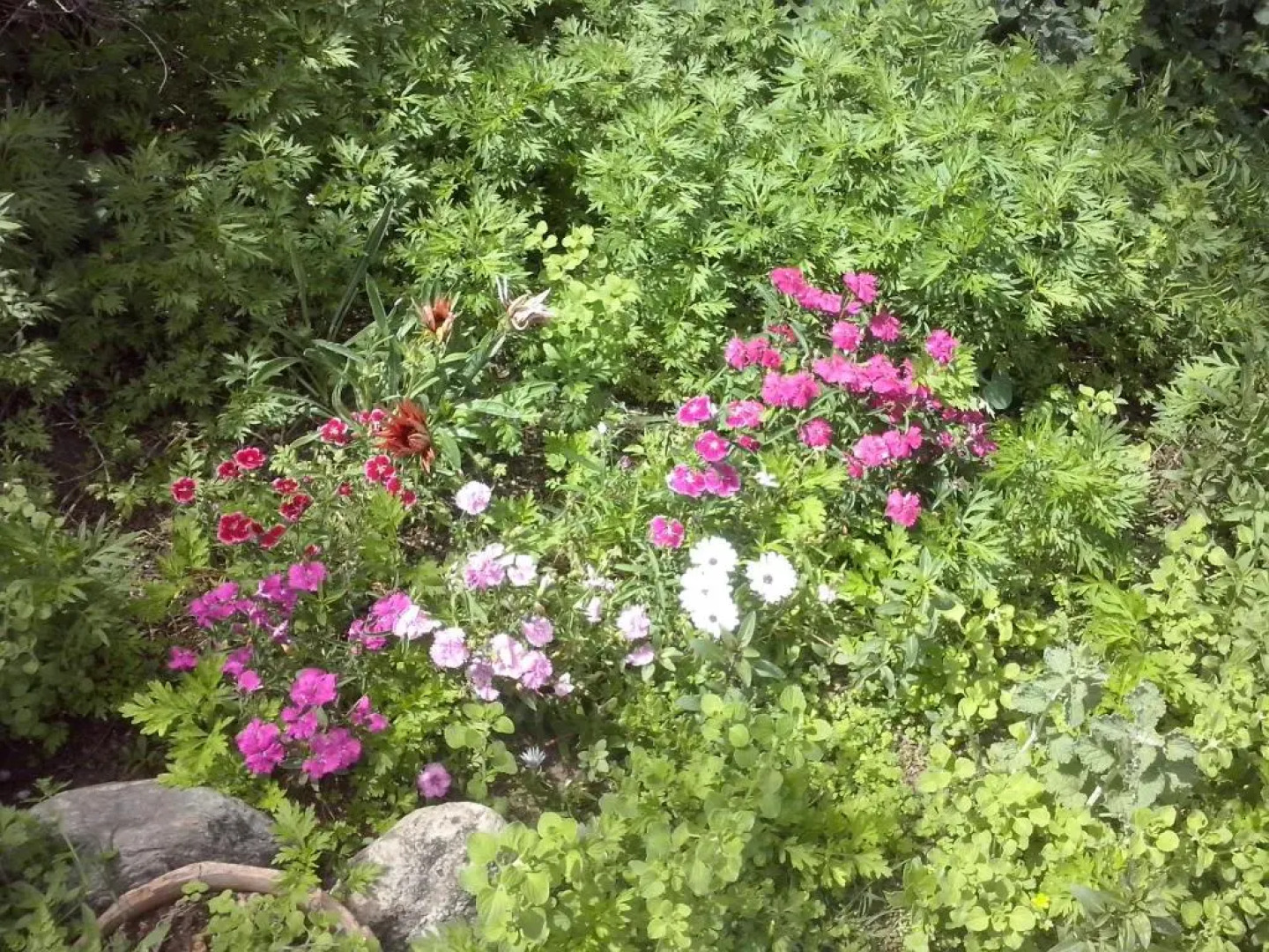 Wilka Pacha - Casas Serranas