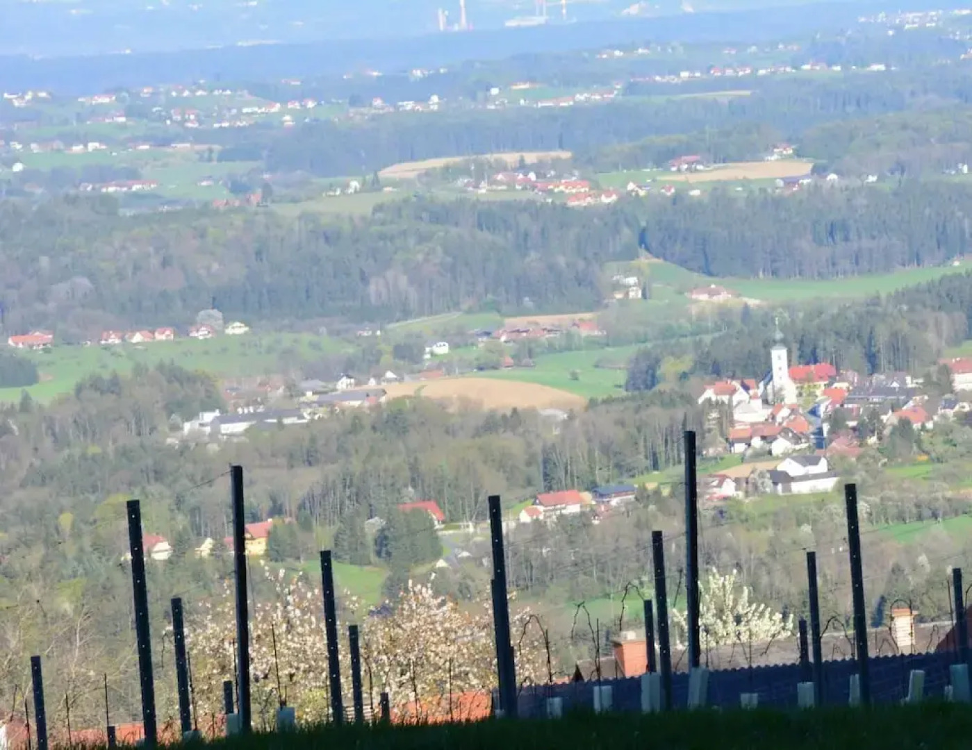 Weingut Seiner vlg. Kraxner