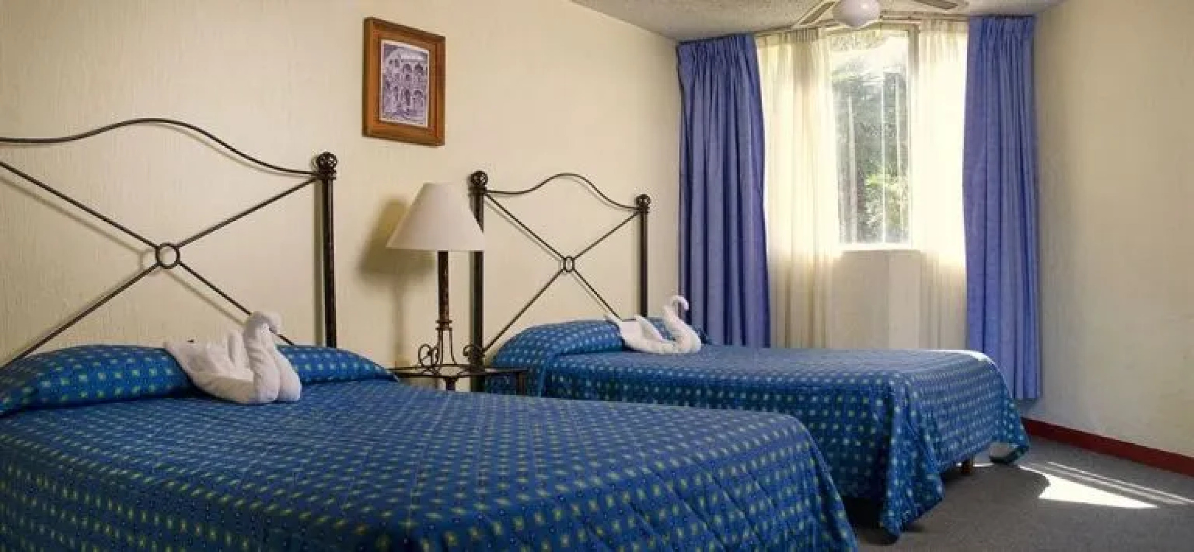 Vista Junior Guadalajara