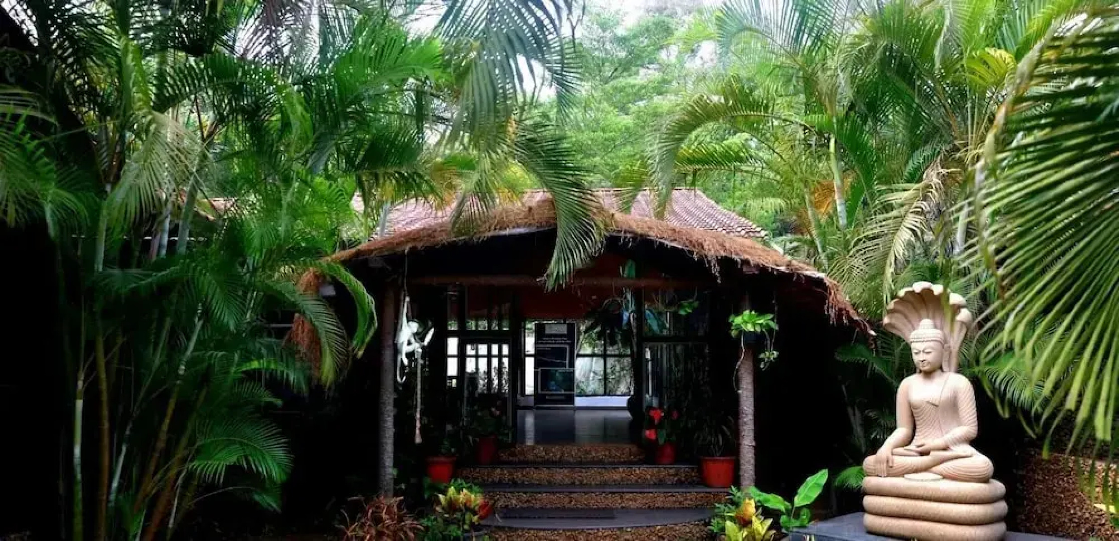 Shangri La Jungle Resort